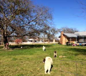 Wetterman Farm